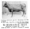 comtesse.jpg